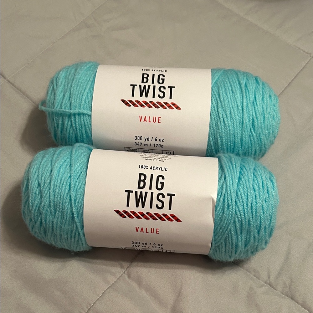 Big Twist Value Yarn in Aqua 2 skeins